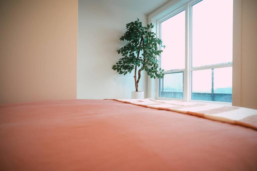 Appartamento Chic Cozy Retreat - 2Br - Stunning North End Views Halifax Esterno foto